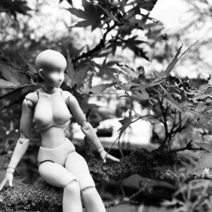 Body Chan Model Drawing Figure - Grey