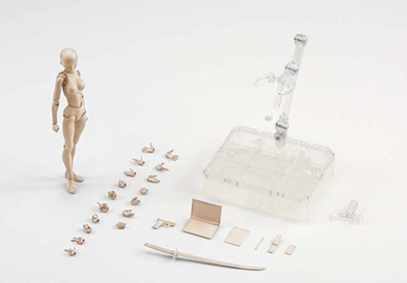 Body Chan Model Drawing Figure - Light Complexion